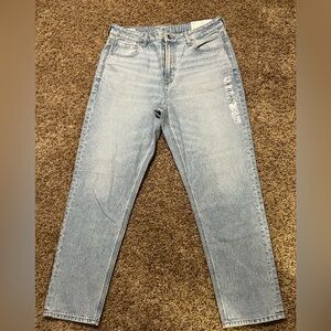American Eagle Outfitters Light Blue Strigid Mom Jeans